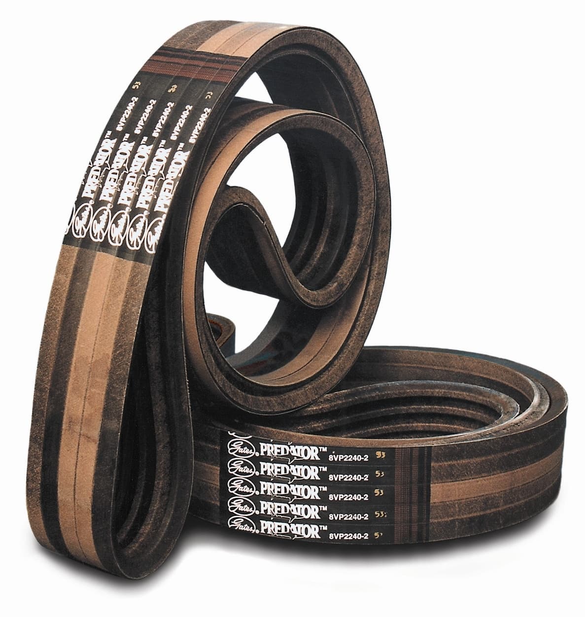 Predator-Powerband.jpg